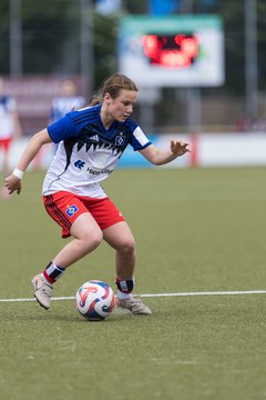 Bild 199 - wBJ Hamburger SV - FC Suederelbe : Ergebnis: 9:0